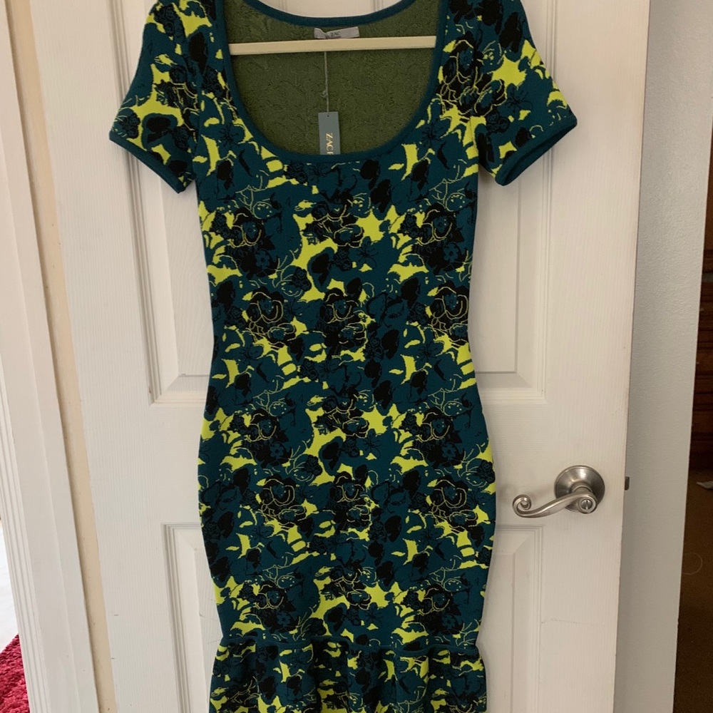 Gorgeous Zac Posen dress